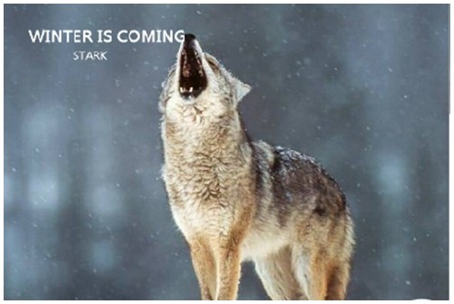 Winter is coming—保持警惕