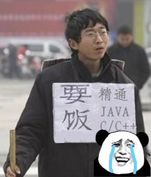 大多数IT工程师的款